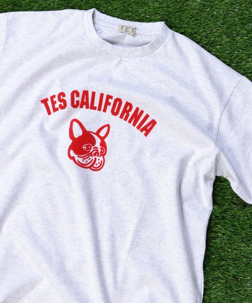 The Endless Summer(エンドレスサマー)の「TES ASH GRAY COLLEGE BUHI BIG T-SHIRT / Tシャツ(Tシャツ/カットソー・メンズ・レッド/ブルー/ブラウン・MEDIUM/LARGE/X-LARGE)」の3枚目の写真
