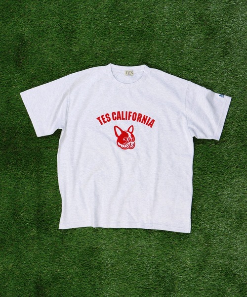 The Endless Summer(エンドレスサマー)の「TES ASH GRAY COLLEGE BUHI BIG T-SHIRT / Tシャツ(Tシャツ/カットソー・メンズ・レッド/ブルー/ブラウン・MEDIUM/LARGE/X-LARGE)」の9枚目の写真