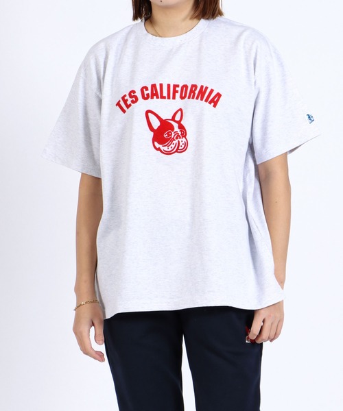 The Endless Summer(エンドレスサマー)の「TES ASH GRAY COLLEGE BUHI BIG T-SHIRT / Tシャツ(Tシャツ/カットソー・メンズ・レッド/ブルー/ブラウン・MEDIUM/LARGE/X-LARGE)」の10枚目の写真