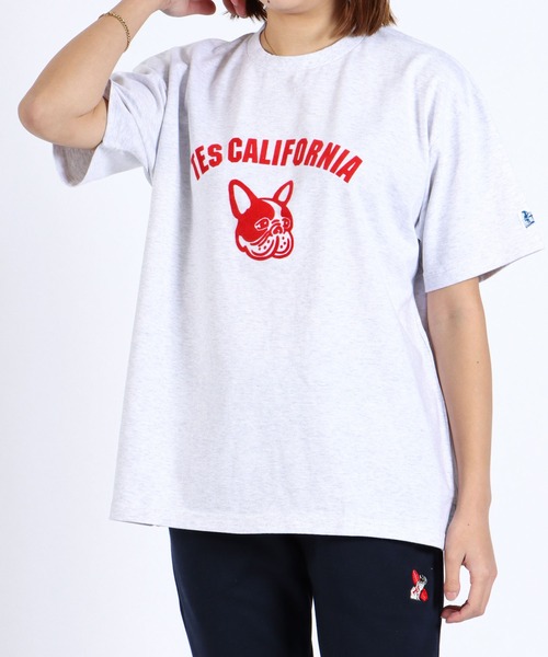The Endless Summer(エンドレスサマー)の「TES ASH GRAY COLLEGE BUHI BIG T-SHIRT / Tシャツ(Tシャツ/カットソー・メンズ・レッド/ブルー/ブラウン・MEDIUM/LARGE/X-LARGE)」の11枚目の写真