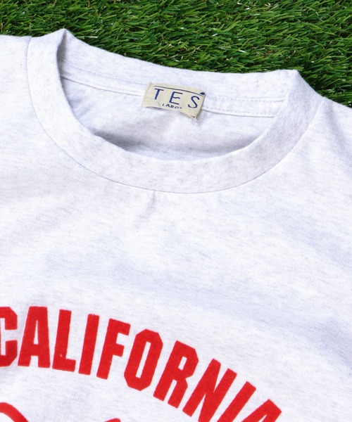 The Endless Summer(エンドレスサマー)の「TES ASH GRAY COLLEGE BUHI BIG T-SHIRT / Tシャツ(Tシャツ/カットソー・メンズ・レッド/ブルー/ブラウン・MEDIUM/LARGE/X-LARGE)」の12枚目の写真