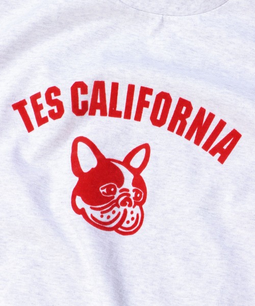 The Endless Summer(エンドレスサマー)の「TES ASH GRAY COLLEGE BUHI BIG T-SHIRT / Tシャツ(Tシャツ/カットソー・メンズ・レッド/ブルー/ブラウン・MEDIUM/LARGE/X-LARGE)」の14枚目の写真