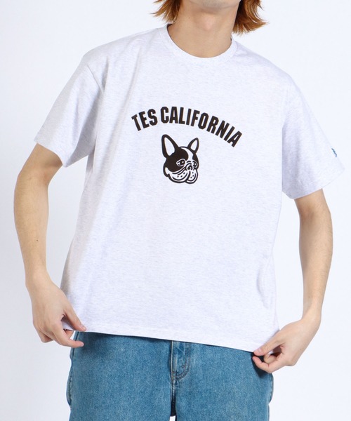 The Endless Summer(エンドレスサマー)の「TES ASH GRAY COLLEGE BUHI BIG T-SHIRT / Tシャツ(Tシャツ/カットソー・メンズ・レッド/ブルー/ブラウン・MEDIUM/LARGE/X-LARGE)」の17枚目の写真