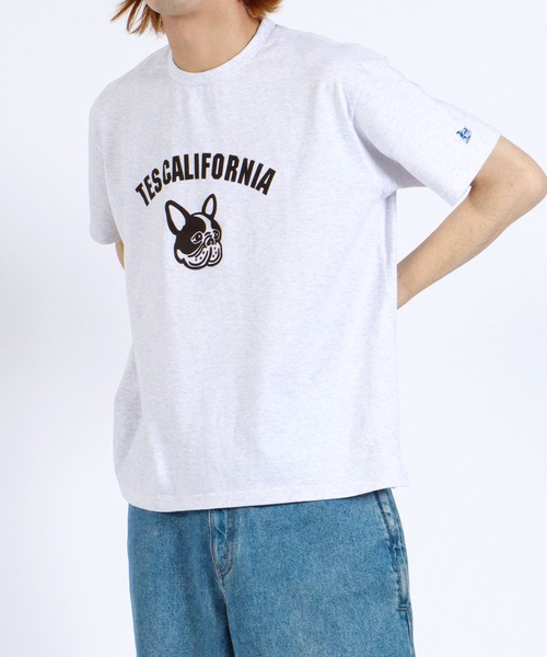 The Endless Summer(エンドレスサマー)の「TES ASH GRAY COLLEGE BUHI BIG T-SHIRT / Tシャツ(Tシャツ/カットソー・メンズ・レッド/ブルー/ブラウン・MEDIUM/LARGE/X-LARGE)」の18枚目の写真