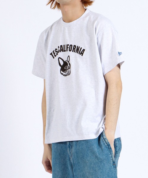 The Endless Summer(エンドレスサマー)の「TES ASH GRAY COLLEGE BUHI BIG T-SHIRT / Tシャツ(Tシャツ/カットソー・メンズ・レッド/ブルー/ブラウン・MEDIUM/LARGE/X-LARGE)」の19枚目の写真