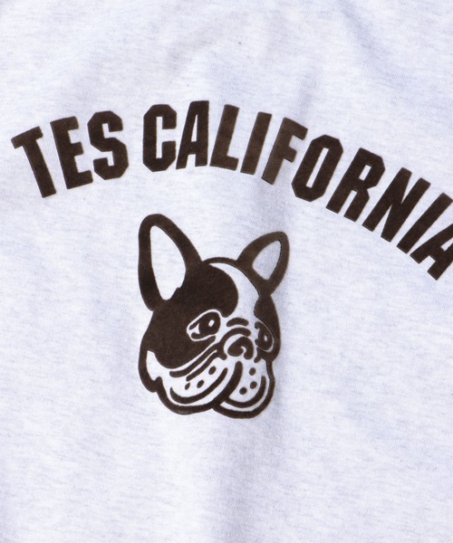 The Endless Summer(エンドレスサマー)の「TES ASH GRAY COLLEGE BUHI BIG T-SHIRT / Tシャツ(Tシャツ/カットソー・メンズ・レッド/ブルー/ブラウン・MEDIUM/LARGE/X-LARGE)」の20枚目の写真