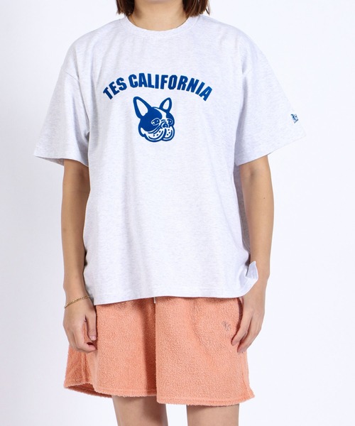 The Endless Summer(エンドレスサマー)の「TES ASH GRAY COLLEGE BUHI BIG T-SHIRT / Tシャツ(Tシャツ/カットソー・メンズ・レッド/ブルー/ブラウン・MEDIUM/LARGE/X-LARGE)」の5枚目の写真