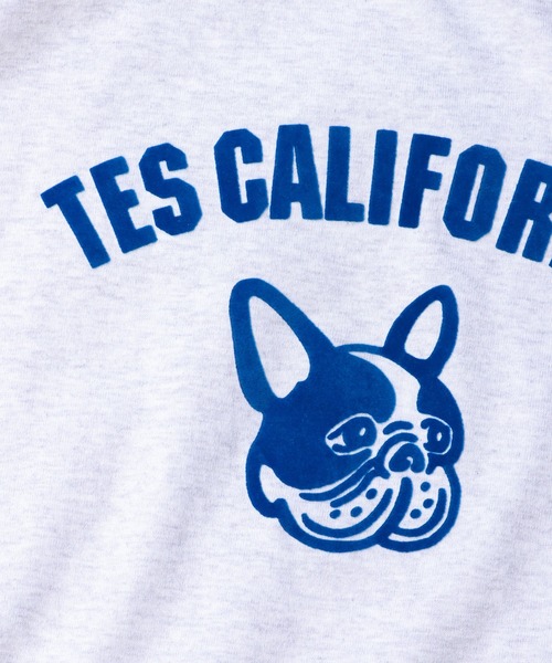 The Endless Summer(エンドレスサマー)の「TES ASH GRAY COLLEGE BUHI BIG T-SHIRT / Tシャツ(Tシャツ/カットソー・メンズ・レッド/ブルー/ブラウン・MEDIUM/LARGE/X-LARGE)」の6枚目の写真