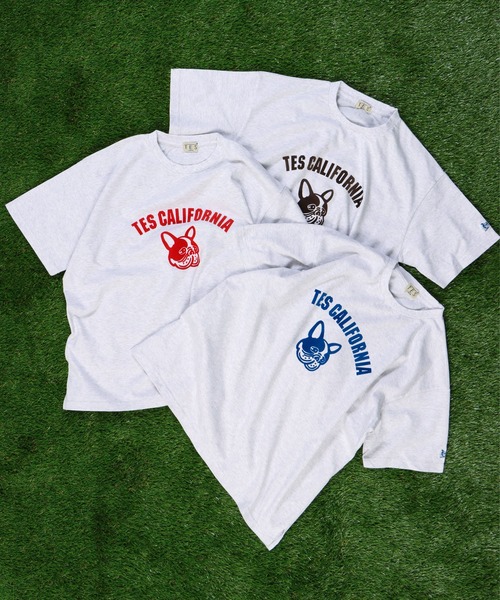 The Endless Summer(エンドレスサマー)の「TES ASH GRAY COLLEGE BUHI BIG T-SHIRT / Tシャツ(Tシャツ/カットソー・メンズ・レッド/ブルー/ブラウン・MEDIUM/LARGE/X-LARGE)」の7枚目の写真