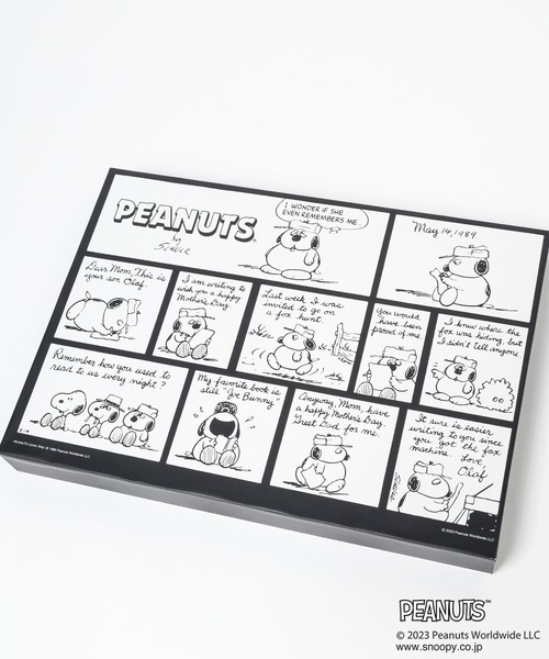 TRAVEL（トラベル）の「【PEANUTS】アートボードM　190014（ポスター/アート・レディース・その他1/その他2/その他3・ONE SIZE）」の7枚目の写真