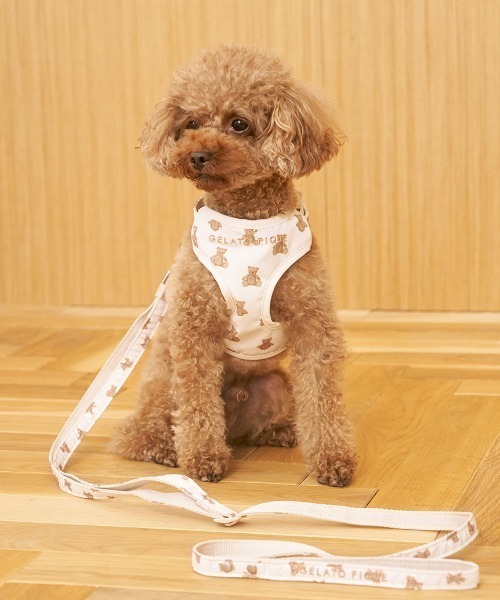 CAT&DOG】【販路限定商品】モチーフ柄リード（リード/ハーネス