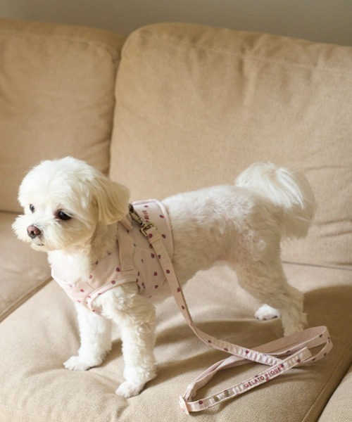 gelato pique(ジェラートピケ)の「【CAT&DOG】【販路限定商品】モチーフ柄リード(リード/ハーネス/首輪・レディース・ピンク/ベージュ/ブラウン・FREE/F)」の21枚目の写真