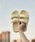 TELIC�i�e���b�N�j�́u�yTELIC�z�e���b�N W-BUCKLE2�i�T���_���j�v�b���C�g�C�G���[
