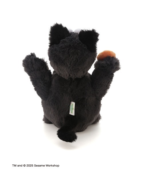 ぬいぐるみS クッキーモンスター キャット（おもちゃ）｜SESAME