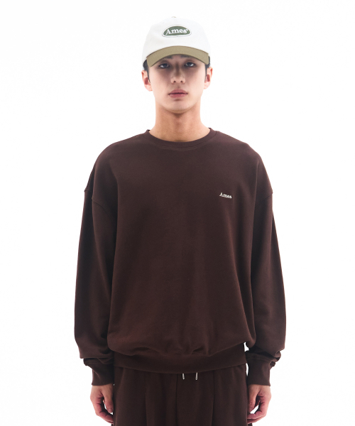 AMESWORLDWIDE（アメスワールドワイド）の「BASIC SMALL LOGO SWEATSHIRT BROWN（スウェット・レディース・その他・LARGE/MEDIUM/SMALL）」の2枚目の写真