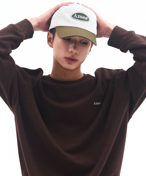 AMESWORLDWIDE（アメスワールドワイド）の「BASIC SMALL LOGO SWEATSHIRT BROWN（スウェット・レディース・その他・LARGE/MEDIUM/SMALL）」の8枚目の写真