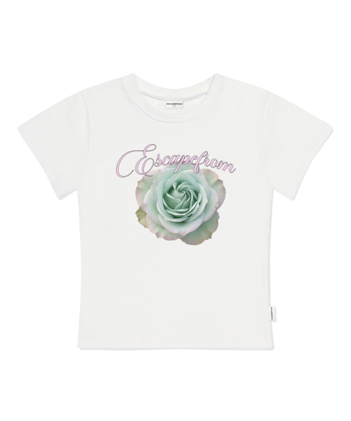 ESCAPEFROM(エスケープフロム)の「ミントリアルローズプリントスリムフィット半袖Tシャツブラック(Tシャツ/カットソー・レディース・その他・MEDIUM/LARGE)」の4枚目の写真