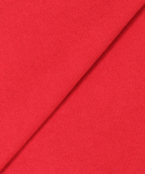 JOURNAL STANDARD(ジャーナルスタンダード)の「【MALL/モール】I believe ワッペン TEE(Tシャツ/カットソー・メンズ・レッド/ブラック系その他/コバルトブルー・MEDIUM/LARGE/X-LARGE)」の22枚目の写真