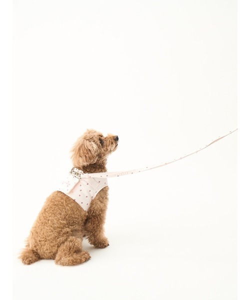ジェラートピケ　モチーフ柄ハーネス＆リード gelato pique 犬 ハーネス リード 「CAT＆DOG」「販路限定商品