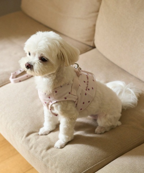 CAT&DOG】【販路限定商品】モチーフ柄ハーネス（リード/ハーネス