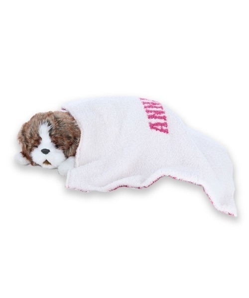 ANNA SUiマット＆クッション ANNA SUI/さらふわニットブランケット（ペット用クッション/マット