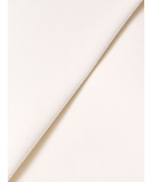 ELENDEEK（エレンディーク）の「ディープVネックAラインワンピース（ワンピース・レディース・オフホワイト/ブラック/グレー・01/02）」の17枚目の写真