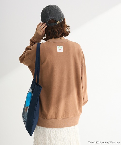 FRUIT OF THE LOOM（フルーツオブザルーム）の「セサミストリートミーツオブザルーム キャップ（キャップ・レディース・ピンク/チャコールグレー・FREE）」の11枚目の写真