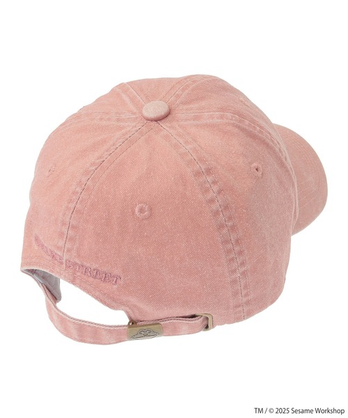 FRUIT OF THE LOOM（フルーツオブザルーム）の「セサミストリートミーツオブザルーム キャップ（キャップ・レディース・ピンク/チャコールグレー・FREE）」の17枚目の写真
