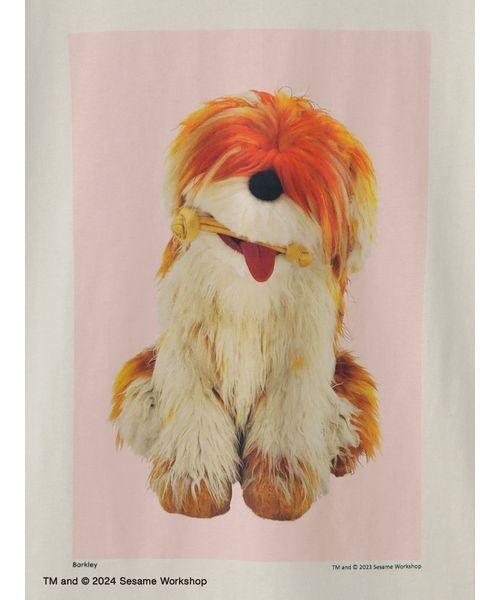 SESAME STREET(セサミストリート)の「【UNISEX】フォトアートTシャツ(Tシャツ/カットソー・レディース・ライトグレー/ライトベージュ・L/M/S)」の14枚目の写真