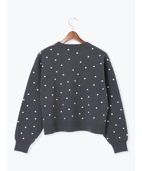 Te chichi TERRASSE（テチチテラス）の「ドットジャカードクルーネックニット（ニット/セーター・レディース・チャコールグレー/ベージュ/グレー・F）」の12枚目の写真