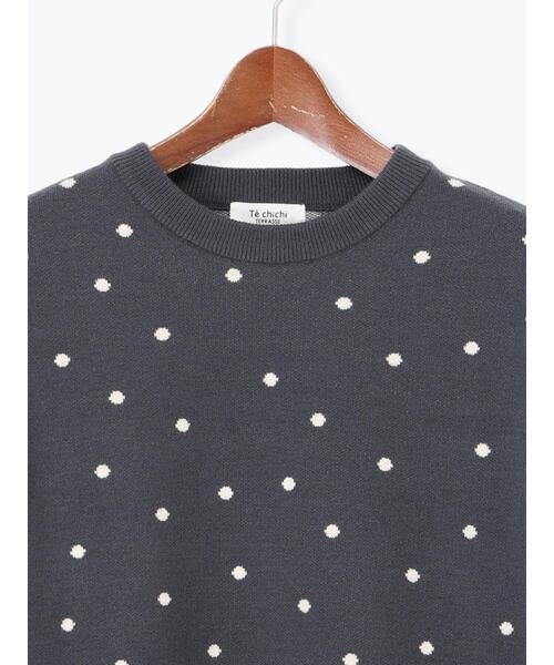 Te chichi TERRASSE（テチチテラス）の「ドットジャカードクルーネックニット（ニット/セーター・レディース・チャコールグレー/ベージュ/グレー・F）」の13枚目の写真
