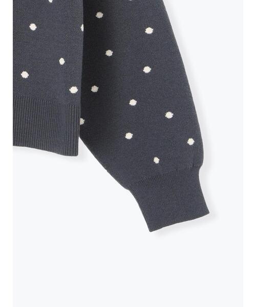 Te chichi TERRASSE（テチチテラス）の「ドットジャカードクルーネックニット（ニット/セーター・レディース・チャコールグレー/ベージュ/グレー・F）」の14枚目の写真