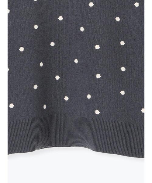 Te chichi TERRASSE（テチチテラス）の「ドットジャカードクルーネックニット（ニット/セーター・レディース・チャコールグレー/ベージュ/グレー・F）」の15枚目の写真