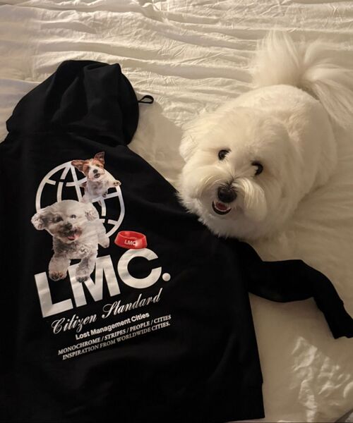 LMCの「FLYING PUPPY HOODIE heather gray(パーカー・レディース・その他・S/M/L/XL)」の8枚目の写真
