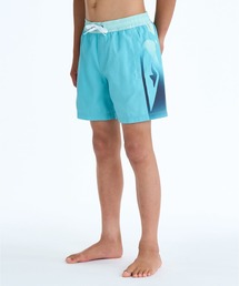 Quiksilver(クイックシルバー)の「QUIKSILVER ユース EVERYDAY HOLMES VOLLEY YTH 16 ジャムボードショーツ 16インチ インナーショーツ付き (ウエストゴムタイプ) ノンストレッチ・撥水加工 【2026年春夏モデル】(水着)」
