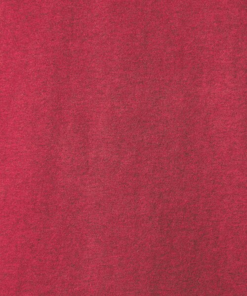 green label relaxing(グリーンレーベルリラクシング)の「オーバーダイ クルーネック 半袖 Tシャツ カットソー(Tシャツ/カットソー・メンズ・オレンジ/レッド/ダークグレー/ライトグレー・XL/L/S/M)」の22枚目の写真