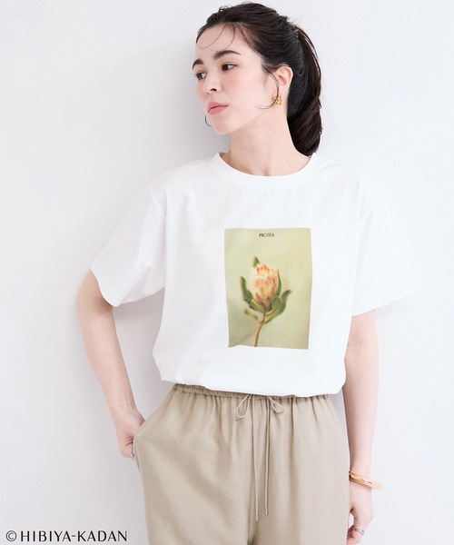 le cercle ADAM ET ROPE'(ルセルクルアダムエロペ)の「日比谷花壇プリントTシャツ(Tシャツ/カットソー・レディース・ホワイト系その他/ホワイト系その他3・FREE)」の2枚目の写真
