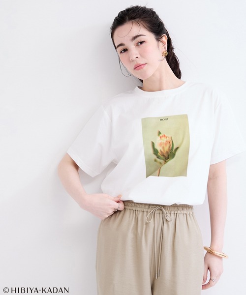 le cercle ADAM ET ROPE'(ルセルクルアダムエロペ)の「日比谷花壇プリントTシャツ(Tシャツ/カットソー・レディース・ホワイト系その他/ホワイト系その他3・FREE)」の8枚目の写真