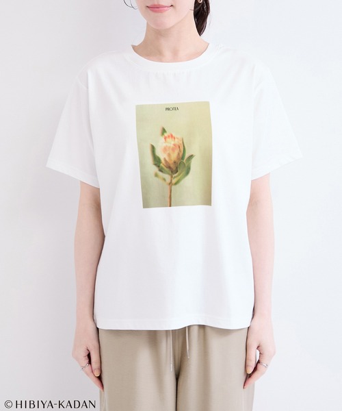 le cercle ADAM ET ROPE'(ルセルクルアダムエロペ)の「日比谷花壇プリントTシャツ(Tシャツ/カットソー・レディース・ホワイト系その他/ホワイト系その他3・FREE)」の5枚目の写真