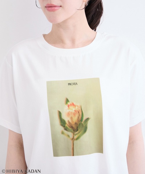 le cercle ADAM ET ROPE'(ルセルクルアダムエロペ)の「日比谷花壇プリントTシャツ(Tシャツ/カットソー・レディース・ホワイト系その他/ホワイト系その他3・FREE)」の17枚目の写真