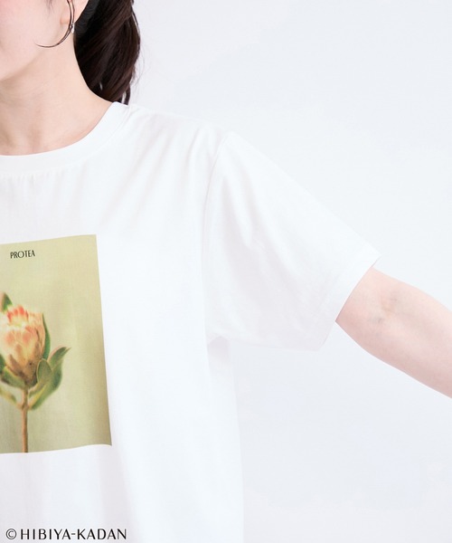 le cercle ADAM ET ROPE'(ルセルクルアダムエロペ)の「日比谷花壇プリントTシャツ(Tシャツ/カットソー・レディース・ホワイト系その他/ホワイト系その他3・FREE)」の16枚目の写真