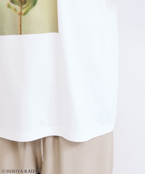 le cercle ADAM ET ROPE'(ルセルクルアダムエロペ)の「日比谷花壇プリントTシャツ(Tシャツ/カットソー・レディース・ホワイト系その他/ホワイト系その他3・FREE)」の15枚目の写真