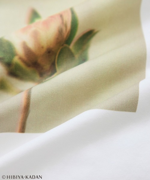 le cercle ADAM ET ROPE'(ルセルクルアダムエロペ)の「日比谷花壇プリントTシャツ(Tシャツ/カットソー・レディース・ホワイト系その他/ホワイト系その他3・FREE)」の14枚目の写真