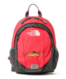 THE NORTH FACE バックパック　リュック　レッド THE NORTH FACE ノースフェイス リュック バックパック 赤