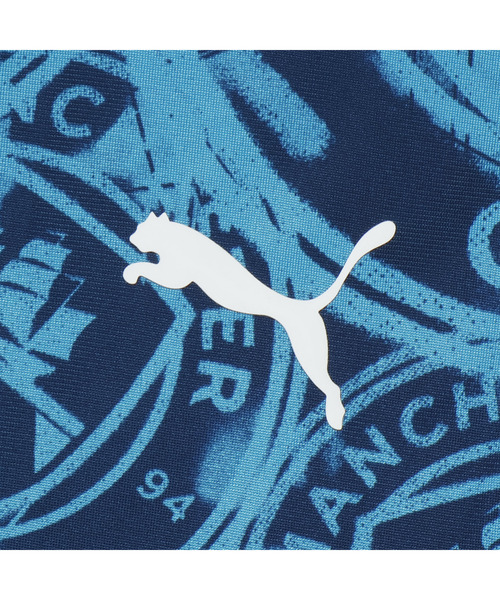 セール】PUMA プーマ メンズ マンチェスターシティ FC 1/4 ジップ