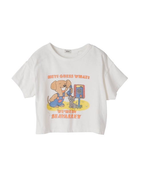 SEA(シー)の「VINTAGE RRもしもし ダメージ 88 ショートTEE(Tシャツ/カットソー・レディース・ホワイト/グレー・ONE SIZE)」の13枚目の写真