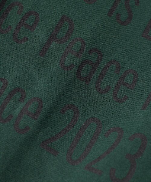 PEAS(ピース)の「【PEAS】 スローガンTシャツ(Tシャツ/カットソー・レディース・ホワイト/ライトグレー/グリーン・FREE)」の16枚目の写真