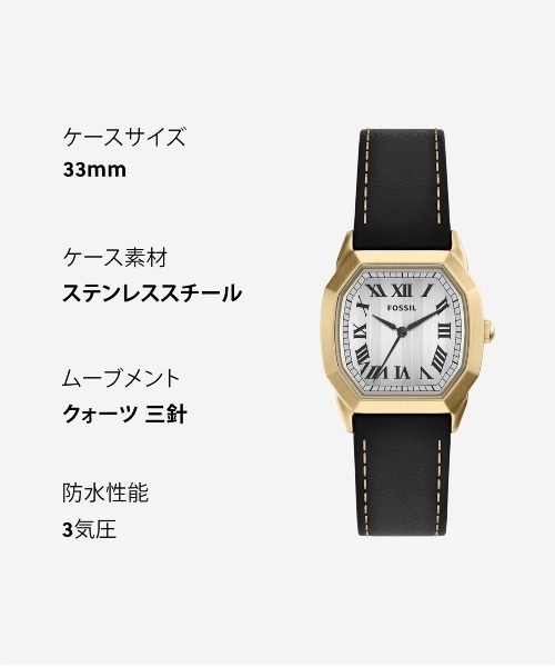 FOSSIL(フォッシル)の「フォッシル 腕時計 メンズ アナログ レザー FS6215(アナログ腕時計・メンズ・ブラック・FREE)」の11枚目の写真