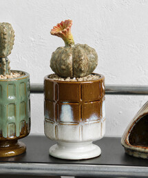 POST GENERAL（ポストジェネラル）の「POST GENERAL/ポストジェネラル THE CACTI POT ザ カクティポット（インテリア雑貨）」