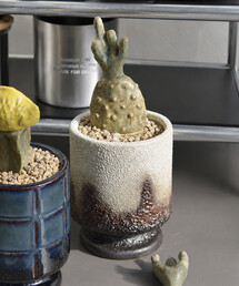 POST GENERAL（ポストジェネラル）の「POST GENERAL/ポストジェネラル THE CACTI POT ザ カクティポット（インテリア雑貨）」